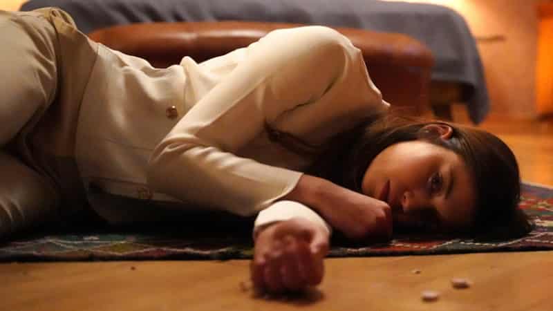 Yali Capkini Series 29th Episode Seyran and Ferit Divorce - DIZI DRAMA-min
